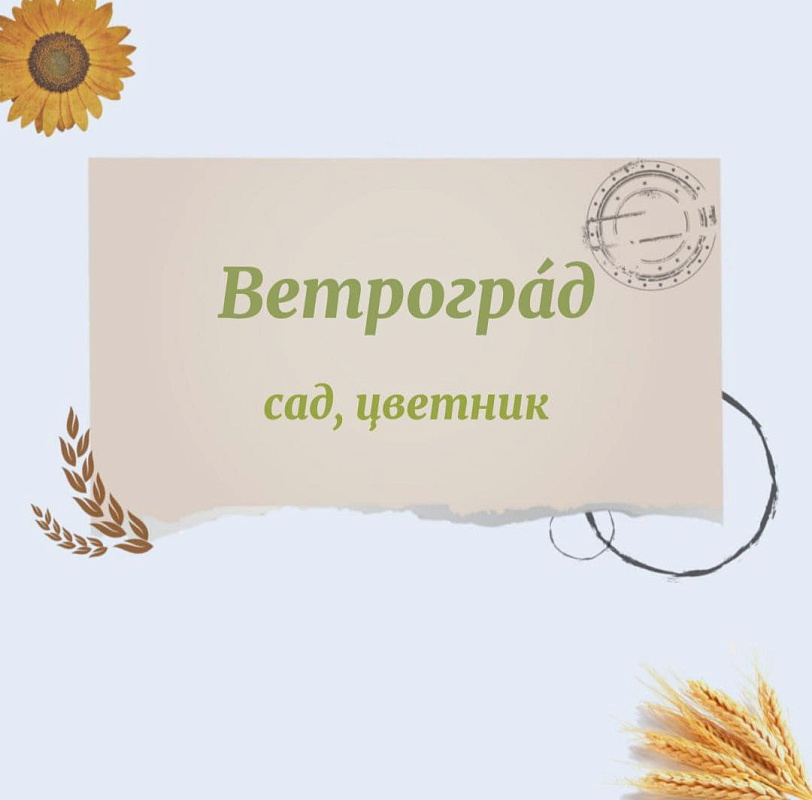 Описание изображения